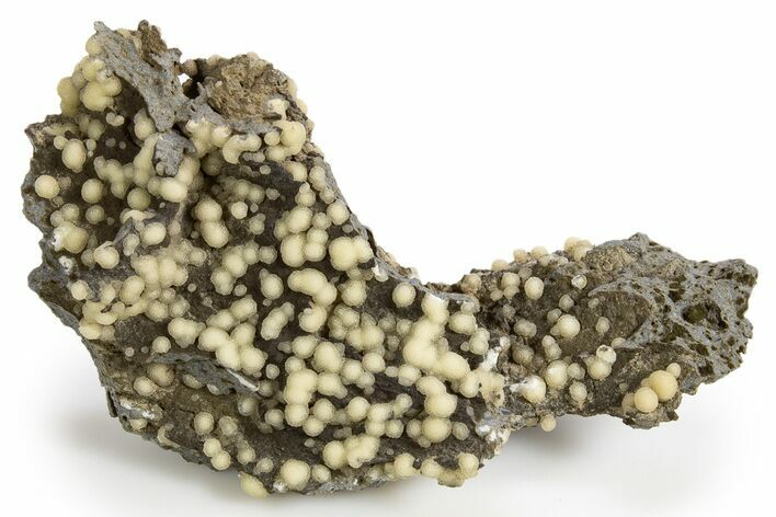 Globular Yellow Calcite Formations on Basalt - Italy #319198
